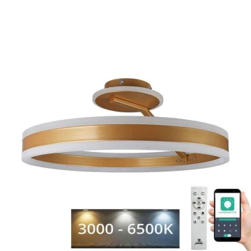 LED Pritemdomas tvirtinamas sietynas LED/86W/230V 3000-6500K auksas + nuotolinio valdymo pultas