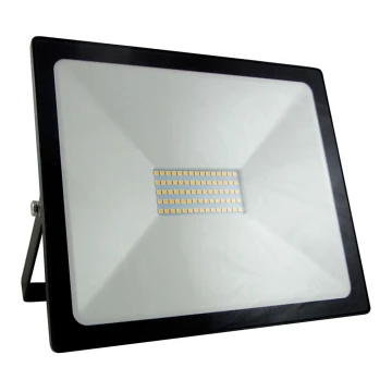 LED Prožektorius LED/50W/230V IP65