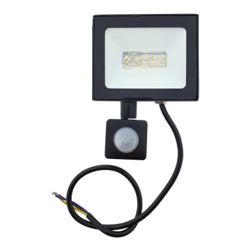 LED Prožektorius su jutikliu LED/30W/230V IP44