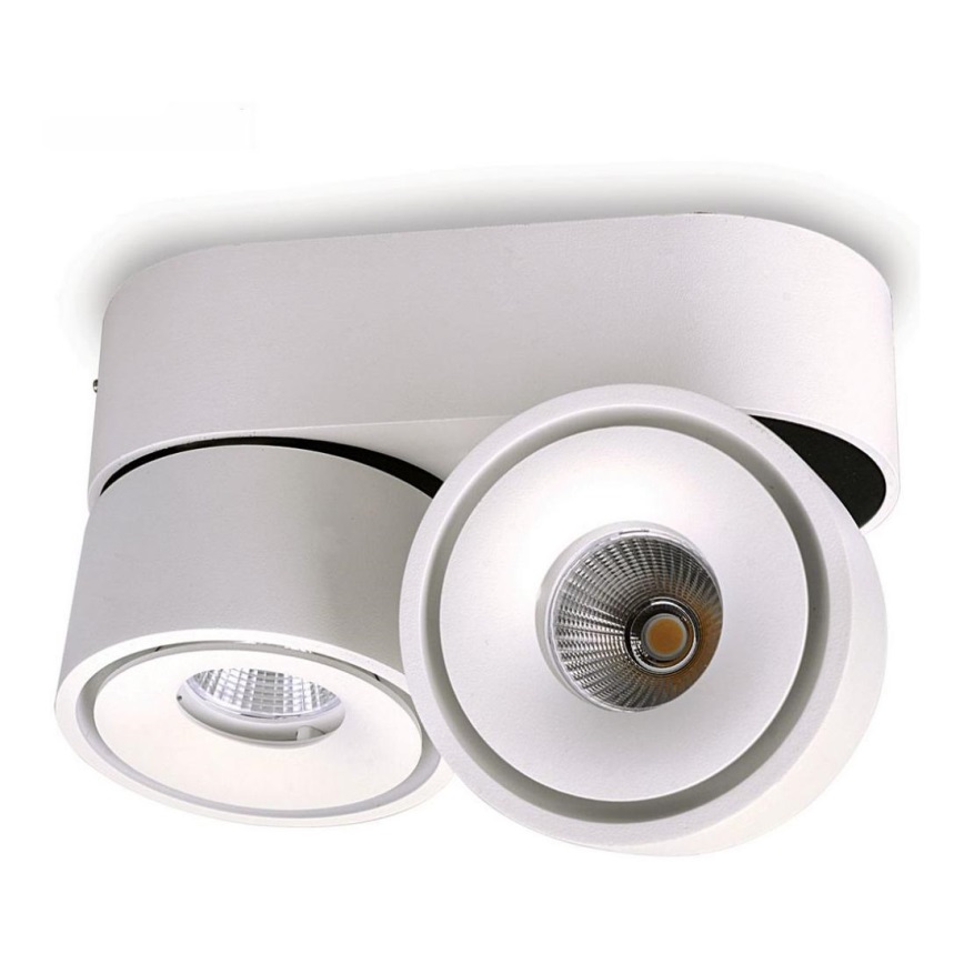 LED Reguliuojamas akcentinis šviestuvas LAHTI MINI 2xLED/9W/230V 3000K CRI 90 baltas