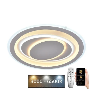 LED Reguliuojamas lubinis šviestuvas LED/100W/230V 3000-6500K + valdymo pultas