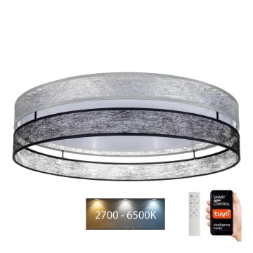 LED Reguliuojamas lubinis šviestuvas LIMA LED/36W/230V 2700-6500K Wi-Fi Tuya + valdymo pultas juodas/sidabras