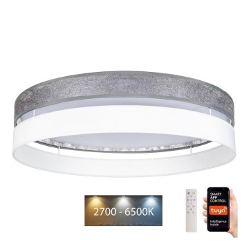 LED Reguliuojamas lubų šviestuvas LIMA LED/36W/230V 2700-6500K Wi-Fi Tuya + valdymo pultas sidabras/baltas