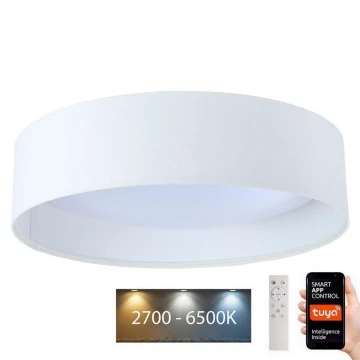 LED Reguliuojamas šviestuvas SMART GALAXY LED/36W/230V d. 55 cm Wi-Fi Tuya + valdymo pultas