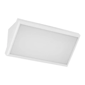 LED Sieninis lauko šviestuvas LED/12W/230V 3000K IP65 baltas