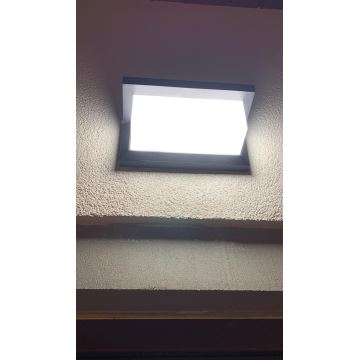 LED Sieninis lauko šviestuvas LED/12W/230V IP54 juodas