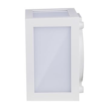 LED sieninis lauko šviestuvas LED/12W/230V IP65 4000K balta