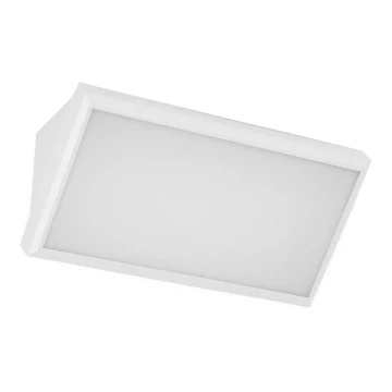 LED Sieninis lauko šviestuvas LED/20W/230V 3000K IP65 baltas