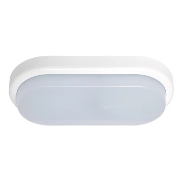 LED sieninis lauko šviestuvas OVAL LED/12W/230V IP54