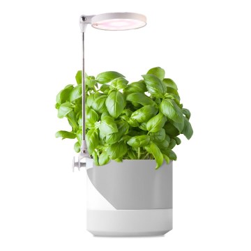LED Vidaus šviestuvas augalams auginti LED/10W/5V 3200K