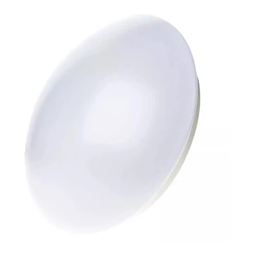 LED Vonios kambario lubinis šviestuvas LED/12W/230V IP44