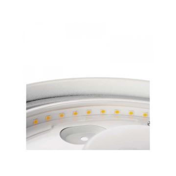 LED Vonios kambario lubinis šviestuvas LED/32W/230V IP44