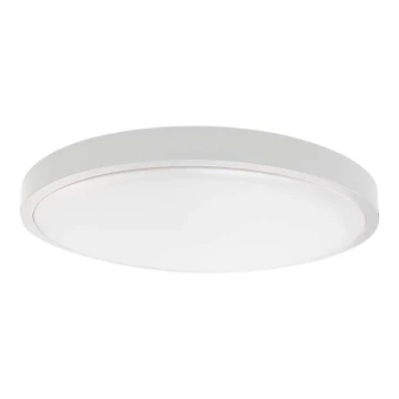 LED Vonios lubinis šviestuvas LED/24W/230V 6500K IP44 baltas