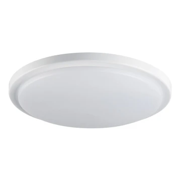 LED Vonios lubinis šviestuvas ORTE LED/24W/230V IP54