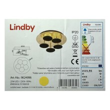 Lindby - LED Reguliuojamas lubinis šviestuvas CASNI 5xLED/5W/230V