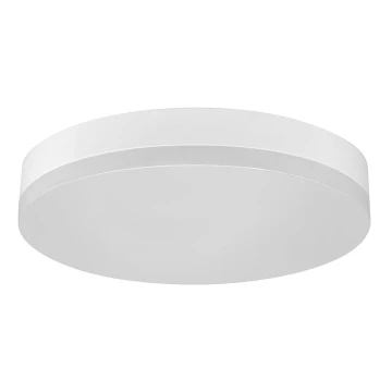 Lubinis LED šviestuvas LED/12W/230V IP44