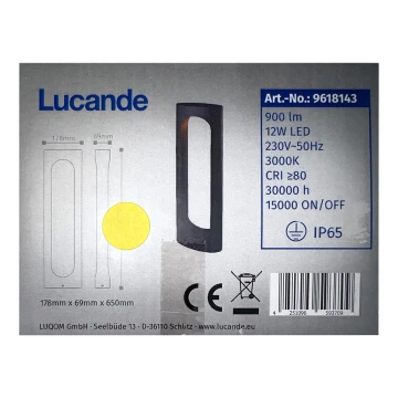 Lucande - LED Lauko lempa FENTI LED/12W/230V IP65