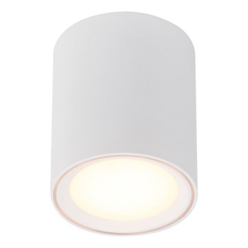 Nordlux - LED akcentinis šviestuvas FALLON LONG LED/5,5W/230V balta