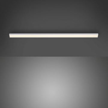Paul Neuhaus 1125-21-A - LED prailginimas po virtuvės spintele šviestuvui AMON LED/6W/12/230V