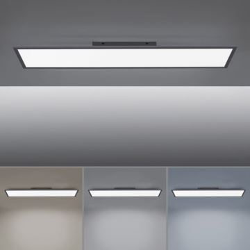 Paul Neuhaus 16533-16-O - LED Reguliuojama ant pagrindo montuojama panelė FLAT LED/24W/230V 2700-5000K juoda + valdymo pultas