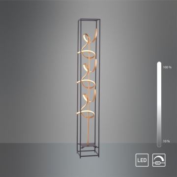 Paul Neuhaus 415-18 - LED pritemdanti grindų lempa SELINA 3xLED / 10.W / 230V