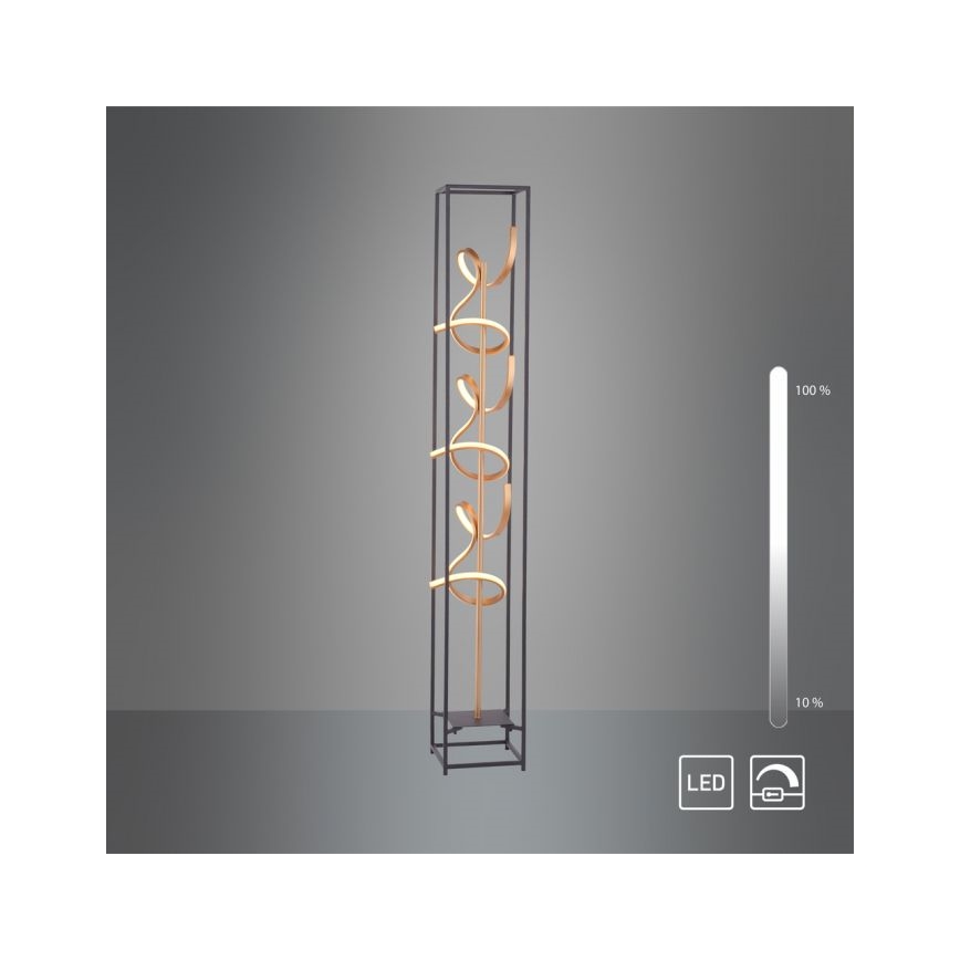Paul Neuhaus 415-18 - LED pritemdanti grindų lempa SELINA 3xLED / 10.W / 230V