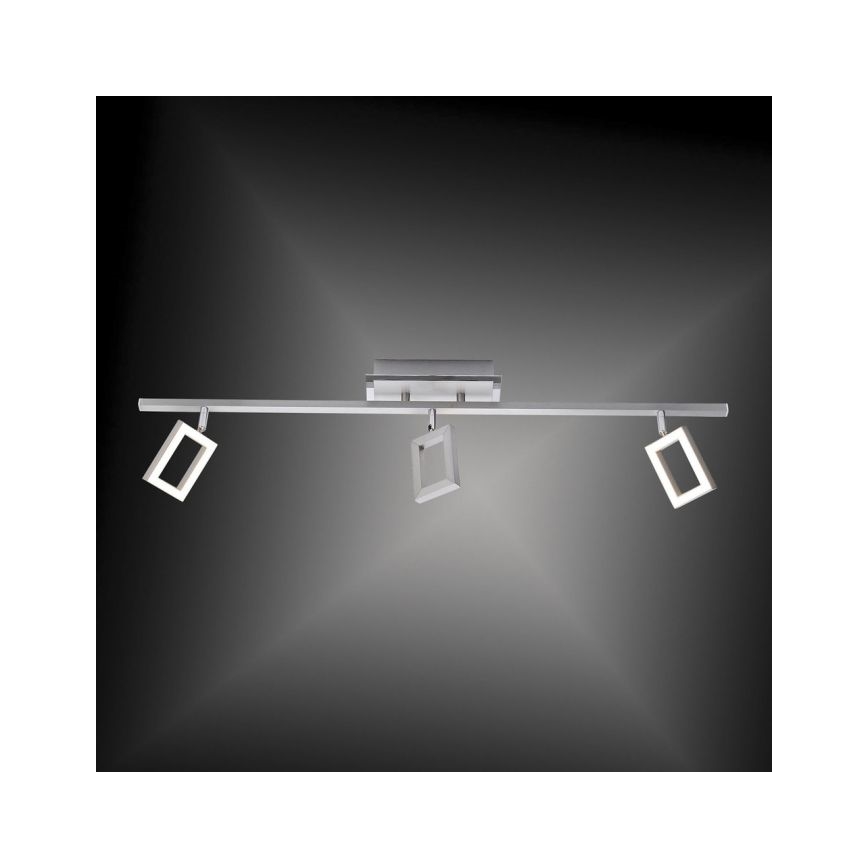 Paul Neuhaus 6959-55 - LED Akcentinis šviestuvas INIGO 3xLED/4,2W/230V