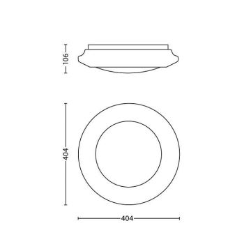 Philips - Lubinis šviestuvas 1xLED/22W/230V