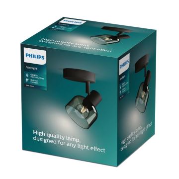 Philips - Akcentinis apšvietimas SLEET 1xE14/25W/230V