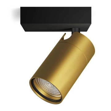 Philips - Akcentinis vonios šviestuvas IDRIS 1xGU10/5W/230V IP44 juoda/auksas