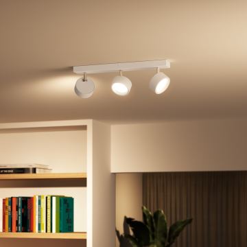 Philips - LED akcentinis šviestuvas 3xLED/5,5W/230V balta