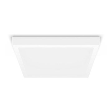 Philips - LED Lubinis šviestuvas LED/20W/230V 2700K baltas