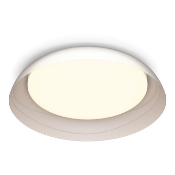 Philips - LED Pritemdomas lubinis šviestuvas FLETA LED/10W/230V 2700K permatoma