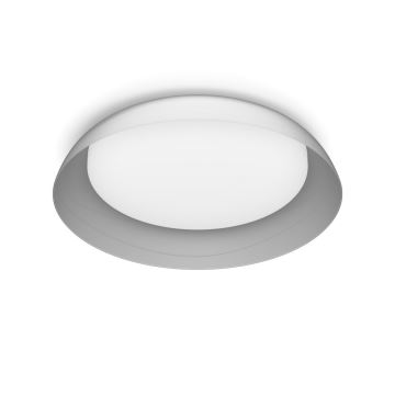 Philips - LED Pritemdomas lubinis šviestuvas FLETA LED/10W/230V 2700K permatoma