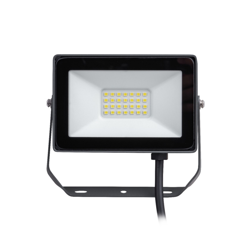 Philips - LED prožektorius DECOFLOOD LED/10W/230V IP65