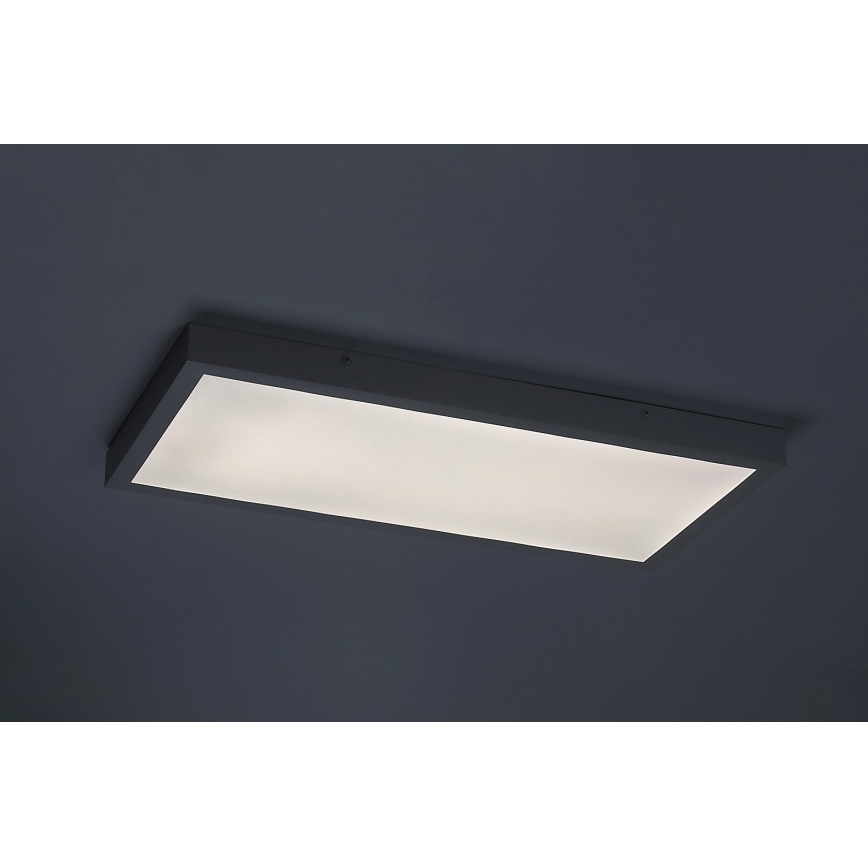 Rabalux - LED Ant pagrindo montuojama panelė LED/24W/230V 4000K 60x30 cm