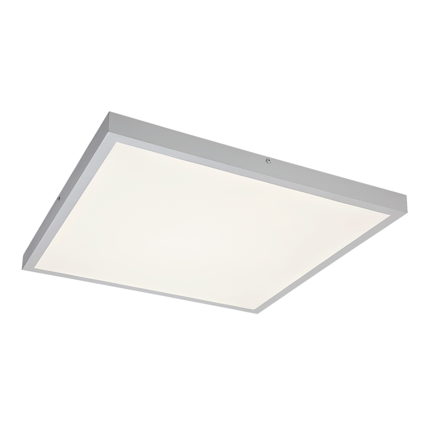 Rabalux - LED Ant pagrindo montuojama panelė LED/40W/230V 4000K 60x60 cm