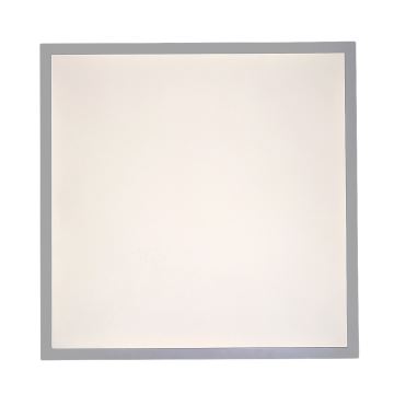 Rabalux - LED Ant pagrindo montuojama panelė LED/40W/230V 4000K 60x60 cm