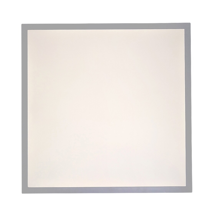 Rabalux - LED Ant pagrindo montuojama panelė LED/40W/230V 4000K 60x60 cm