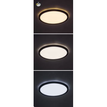 Rabalux - LED lubinis šviestuvas LED/24W/230V 3000/4000/6000K diametras 29 cm juoda
