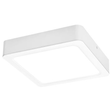 Rabalux - LED lubinis šviestuvas LED/24W/230V 4000K 22x22 cm balta