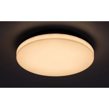 Rabalux - LED Vonios lubinis šviestuvas LED/24W/230V IP54