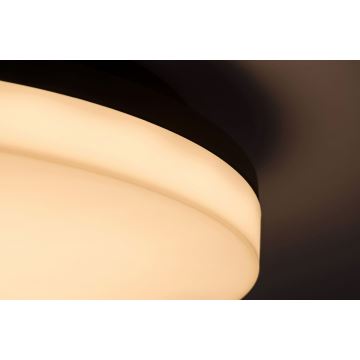 Rabalux - LED Vonios lubinis šviestuvas LED/24W/230V IP54