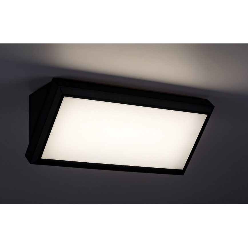 Rabalux - LED Sieninis lauko šviestuvas LED/12W/230V IP54