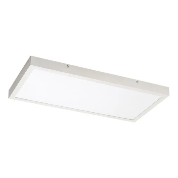 Rabalux - LED Ant pagrindo montuojama panelė LED/24W/230V 4000K 60x30 cm