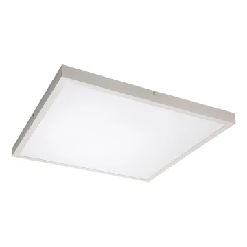 Rabalux - LED Ant pagrindo montuojama panelė LED/40W/230V 4000K 60x60 cm