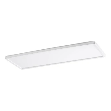 Rabalux - LED Ant paviršiaus montuojamas skydelis LED/22W/230V