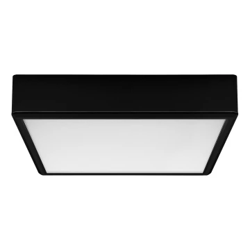 Rabalux - LED lubinis šviestuvas LED/22W/230V 3000/4000/6000K 21x21 cm juoda