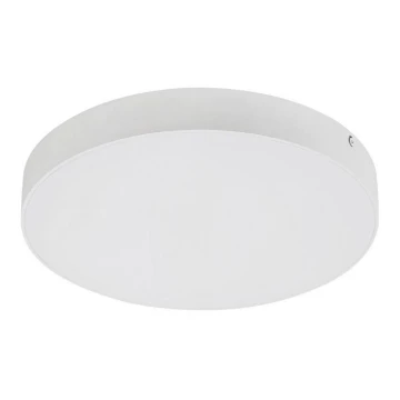 Rabalux - LED Lubinis šviestuvas LED/24W/230V 3000-6000K IP44 baltas