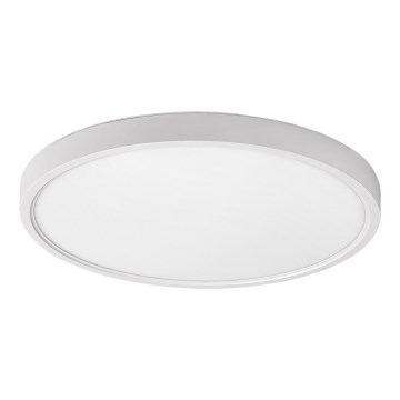 Rabalux - LED lubinis šviestuvas LED/24W/230V 4000K diametras 30 cm balta